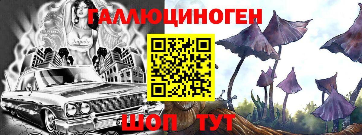 Псилоцибиновые грибы GOLDEN TEACHER  Вход с VPN  Улан-Удэ 