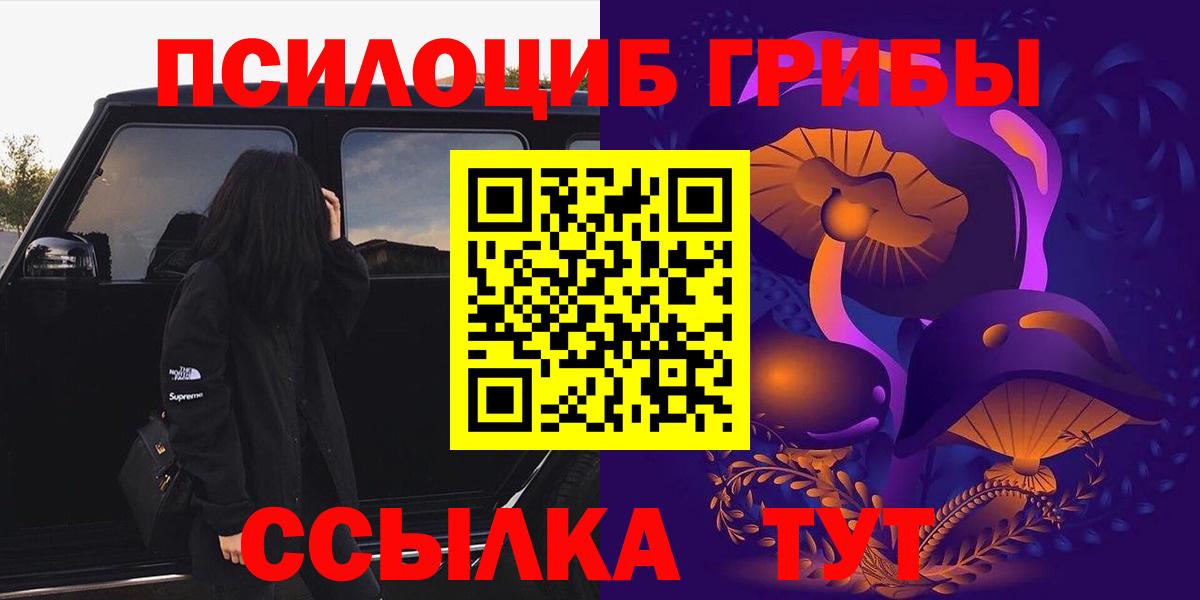 Псилоцибиновые грибы Psilocybe Улан-Удэ